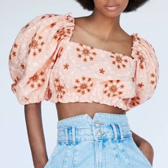 Zara Tops - Zara Embroidered Voluminous Crop Top in Salmon